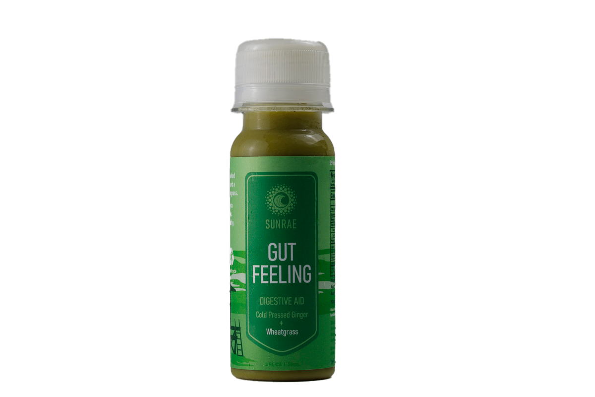 Gut Feeling Organic Ginger Wellness Juice Shot Digestive Aid with Wheatgrass