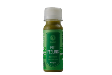Gut Feeling Organic Ginger Wellness Juice Shot Digestive Aid with Wheatgrass