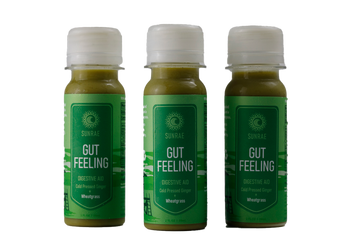 Gut Feeling Organic Ginger Wellness Juice Shot Digestive Aid with Wheatgrass